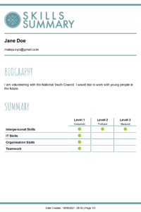 Sample CV from Skills Summary - page 1